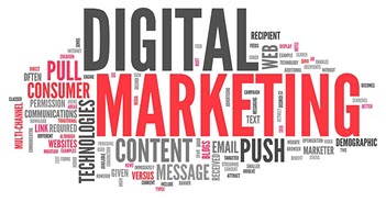 Career in Digital Marketing